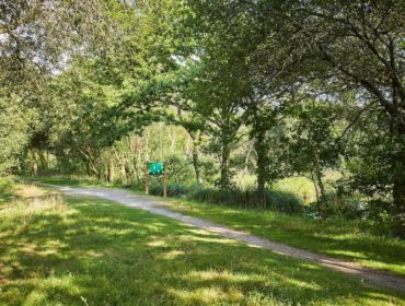 paysage foret morbihan