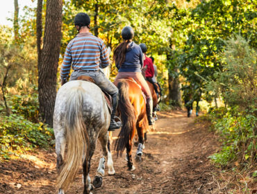 rando equestre autour vannes