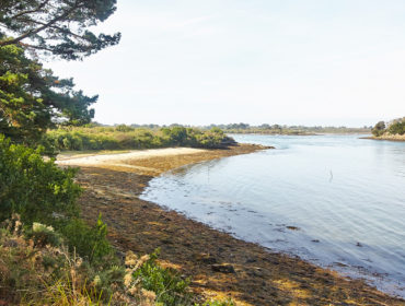 rando pointes du golfe